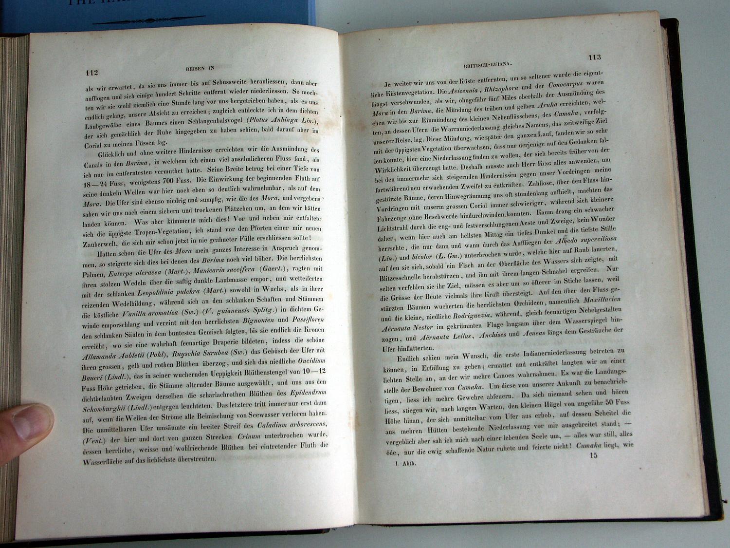 ZZ-RISC47,S.112 Ende April Rio Mora in Barima Mündung Aruka Indianerdorf Cumaka der Warrau